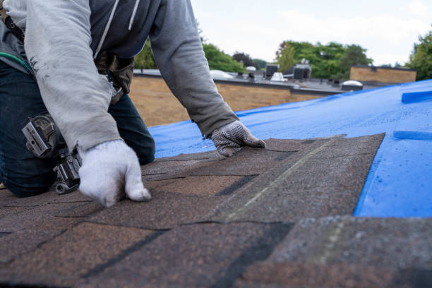Best Roof Replacement Cost  in Marissa, IL