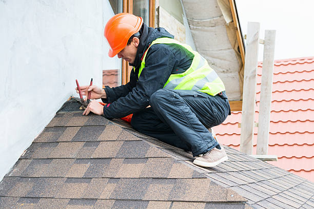 Best Gutter Installation and Roofing  in Marissa, IL