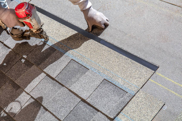 Best Roof Maintenance Services  in Marissa, IL